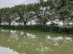 -大湾区中央湿地公园