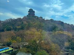 -七欣天香辣蟹火锅(南京建宁路大观天地店)