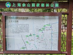 -上海佘山国家森林公园天马山园