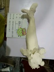 -泥娃娃DIY陶吧(易生活购物公园店)