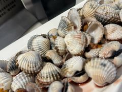 -华盛丰温州大排档(东三环南路店)