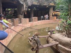 -长鹿旅游休博园