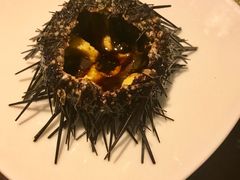 -锦州喜来登酒店-盛宴黄油熟成牛排自助晚餐