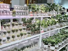 -KKV(深圳宏发大仟里店)