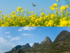 -万峰林风景区
