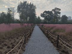 -汉长安城未央宫国家考古遗址公园