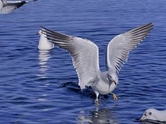 -丽江泸沽湖景区