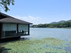 -长广溪湿地公园