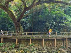 -广州市石门国家森林公园