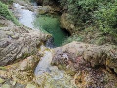 -南海湾森林生态园