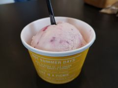 -Patagonia Chocolates(皇后镇店)