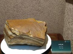 -中华赏石园