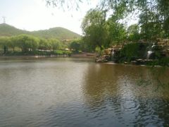 -石家庄市动物园