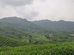 -午潮山国家森林公园