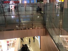 -谢列梅捷沃国际机场