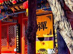 -西海子公园