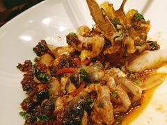 古法豉汁蒸白鳝-觅唐MITONG(鸟巢店)