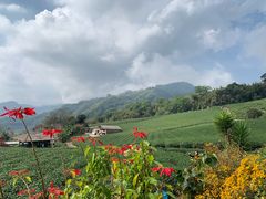 -优游吧斯邹族文化部落