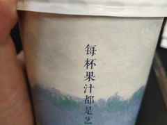 -野萃山·潮汕厚果汁(十亩地店)