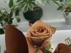 -花点时间(蓝色港湾店)