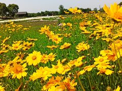 -苏州湾体育公园
