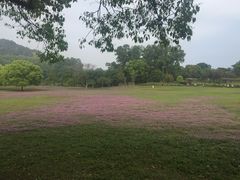 -福建鲤鱼洲酒店