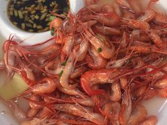 -全乐鱼馆·淳牌有机鱼直营店