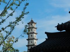 -江心屿景区