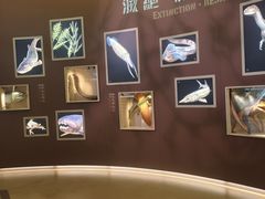 -香港科学馆