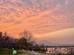 -福建鲤鱼洲酒店