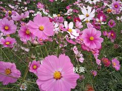 -河北省园博园