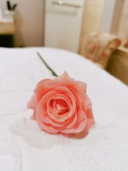 -百丽雅QueenSpa双美中心