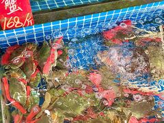 -红月湾海鲜饭店•沙滩海景(双月湾店)