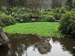 -龙头寺公园