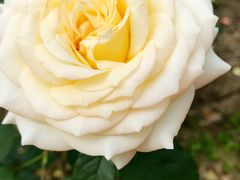 -苏州河梦清园环保主题公园