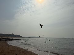 -青岛第二海水浴场