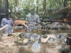 -海南热带野生动植物园