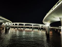 -演武大桥观景平台