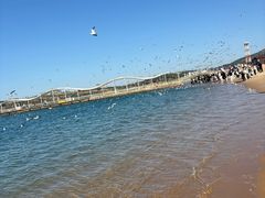-海驴岛(荣成市)