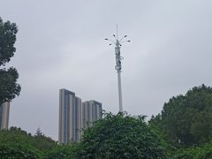 -月湖风景区