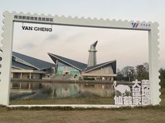 -盐城丹顶鹤湿地生态旅游区