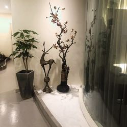 -康颜SPA自然疗愈皮肤管理中心