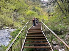-青峰峡国家森林公园