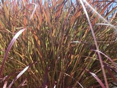 Hyatt&nbsp;RegenCy&nbsp;Phuket&nbsp;ResOrt-普吉岛凯悦酒店