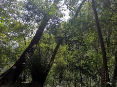 -青城山