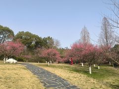 -黄陂区野村谷景区