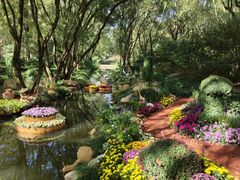 -上海共青森林公园