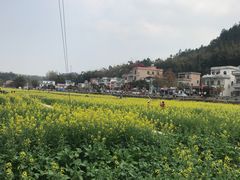 -红山村