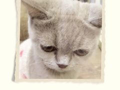 -小时光咖啡馆(开森度假森林店)