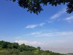 -兰山公园